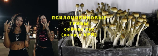 гидра Аркадак