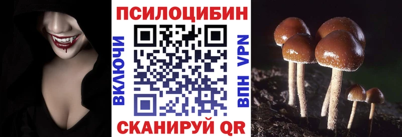 купить   мега   Псилоцибиновые грибы мухоморы  Отрадная 